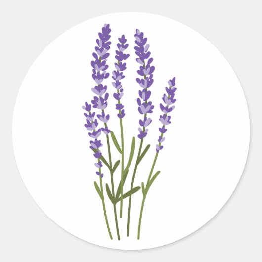 Lavendel Aufkleber Aquarellkraut Blume (Vorderseite)