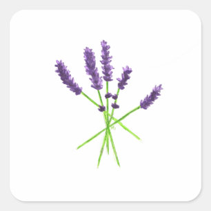 Lavendel-Aufkleber Quadratischer Aufkleber