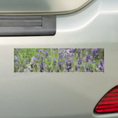 Lavendel Autoaufkleber (Auf Auto)