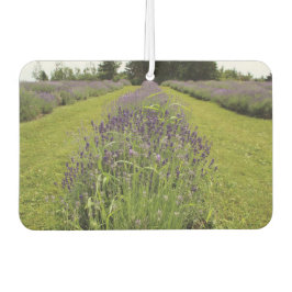 Lavendel autolufterfrischer