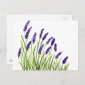 Lavendel Blume Aquarell Lila florale rustikale Postkarte (Vorne/Hinten)