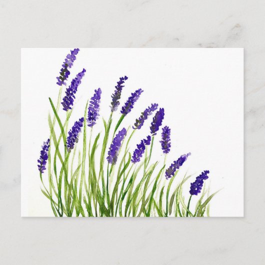 Lavendel Blume Aquarell Lila florale rustikale Postkarte (Vorderseite)