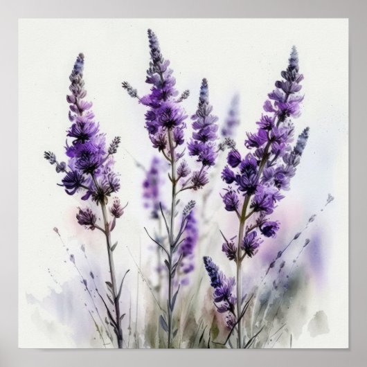 Lavendel Blume Art Print Poster (Vorne)