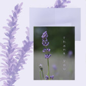Lavendel-Blume Botanische Blumenfotografie