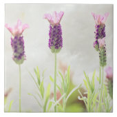Lavendel-Blume Fliese (Vorderseite)