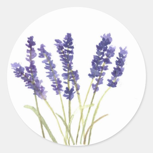 Lavendel-Blume, französischer Lavendel Runder Aufkleber (Vorderseite)