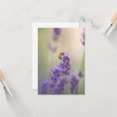 Lavendel Blume Honeybee Nature Foto Karte (Vorderseite/Rückseite Beispiel)