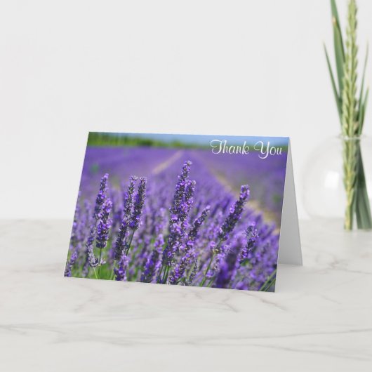 Lavendel Blume Hübsche Lila Blumenbeete Vielen Dan Karte (Vorderseite)