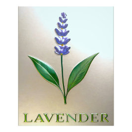 Lavendel Blume in glänzender Eleganz Fotodruck