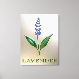 Lavendel Blume in glänzender Eleganz Leinwanddruck
