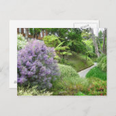 Lavendel Blume in Neuseeland. Postkarte (Vorne/Hinten)