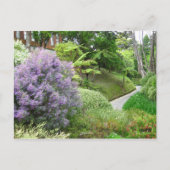 Lavendel Blume in Neuseeland. Postkarte (Vorderseite)