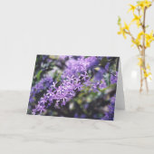 Lavendel-Blume Karte (Gelbe Blume)