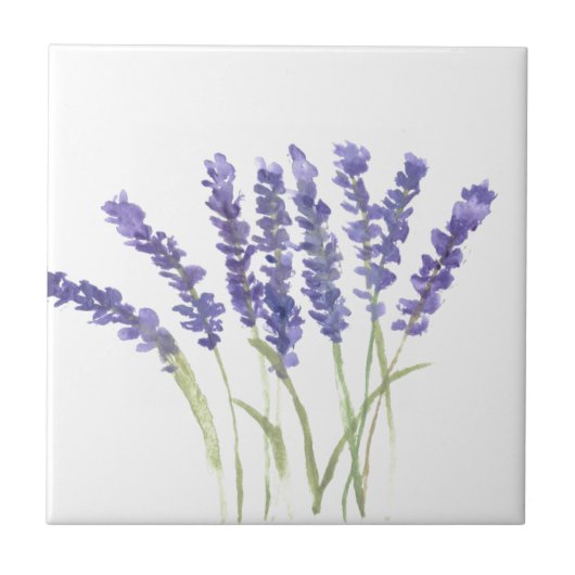 Lavendel Blume Kräuter lila Aquarellfarben Chic Fliese (Vorderseite)