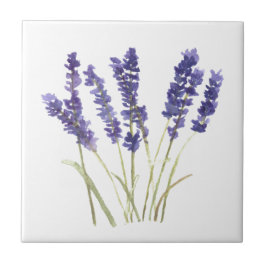 Lavendel Blume Kräuter rustikale lila Wasserfarbe  Fliese