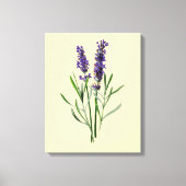Lavendel-Blume Leinwanddruck (Vorderseite)