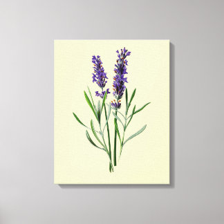 Lavendel-Blume Leinwanddruck