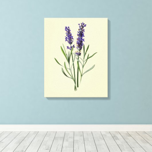Lavendel-Blume Leinwanddruck (Insitu (Holzboden))