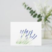 Lavendel-Blume Lila Postkarte (Stehend Vorderseite)