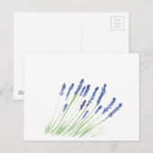 Lavendel-Blume Lila Postkarte (Vorne/Hinten)