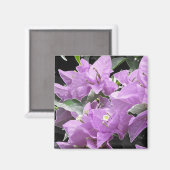 Lavendel-Blume Magnet (Vorderseite/Rückseite)