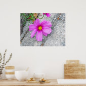 Lavendel-Blume mit inspirierenden Zitaten Poster (Küche)