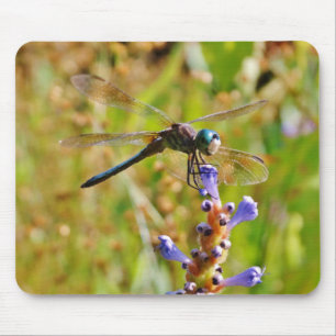 Lavendel-Blume Mousepad