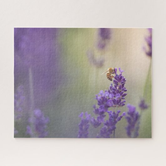 Lavendel Blume Nature Foto Puzzle (Horizontal)