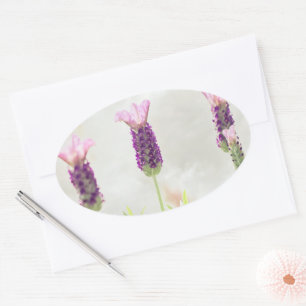 Lavendel-Blume Ovaler Aufkleber