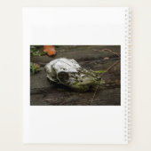 Lavendel-Blume Planer (Rückseite)