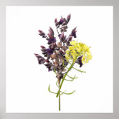 Lavendel-Blume Poster (Vorne)