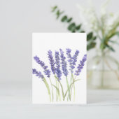 Lavendel-Blume Postkarte (Stehend Vorderseite)