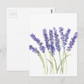 Lavendel-Blume Postkarte (Vorne/Hinten)
