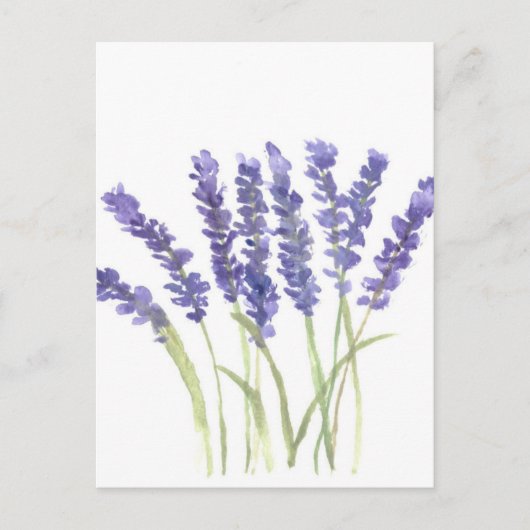 Lavendel-Blume Postkarte (Vorderseite)