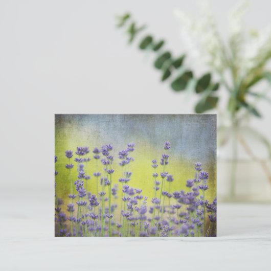 Lavendel-Blume Postkarte (Stehend Vorderseite)