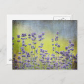 Lavendel-Blume Postkarte (Vorne/Hinten)