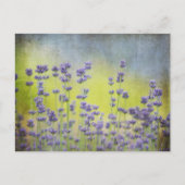 Lavendel-Blume Postkarte (Vorderseite)