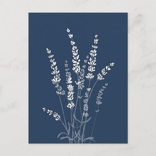 Lavendel-Blume Postkarte (Vorderseite)