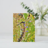 Lavendel-Blume Postkarte (Stehend Vorderseite)