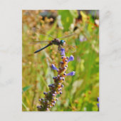 Lavendel-Blume Postkarte (Vorderseite)