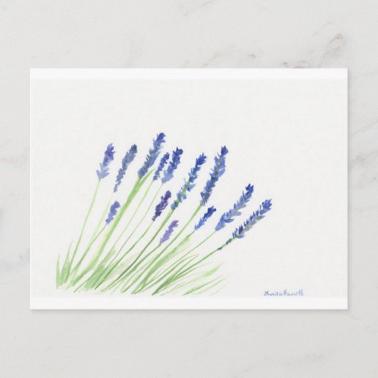 Lavendel-Blume Postkarte (Vorderseite)