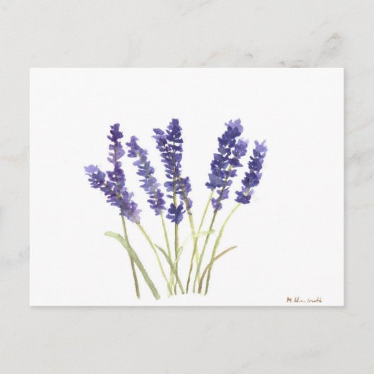 Lavendel-Blume Postkarte (Vorderseite)