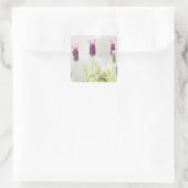 Lavendel-Blume Quadratischer Aufkleber (Tasche)