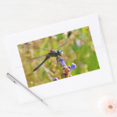 Lavendel-Blume Rechteckiger Aufkleber (Umschlag)