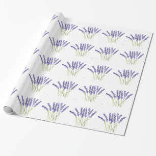 Lavendel Blume Violette Kräuter Wasserfarben Geschenkpapier