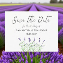 Lavendel Blume Wasserfarbe Lila Blüte Rustikal