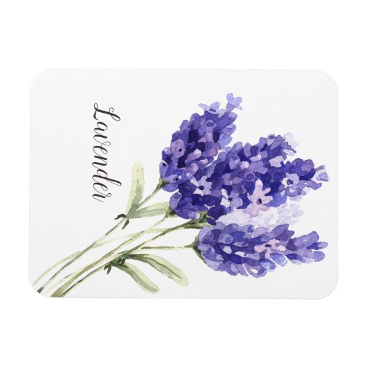 Lavendel-Blume Wasserfarbe Magnet (Horizontal)