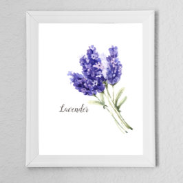 Lavendel-Blume Wasserfarbe Poster