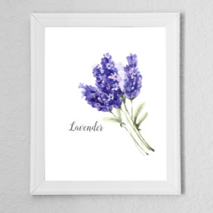 Lavendel-Blume Wasserfarbe Poster