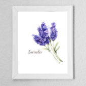 Lavendel-Blume Wasserfarbe Poster